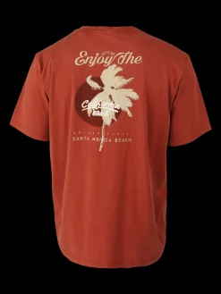 Fashion Brunotti Wandes Heren T-shirt | Arabian Spice Arabianspice