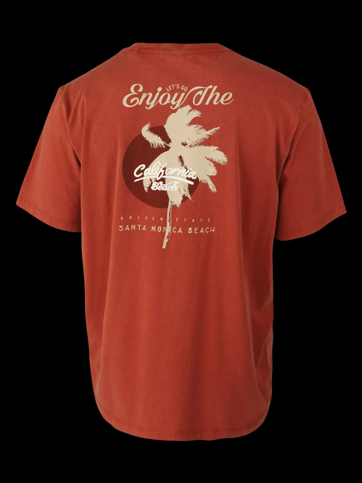 Fashion Brunotti Wandes Heren T-shirt | Arabian Spice Arabianspice